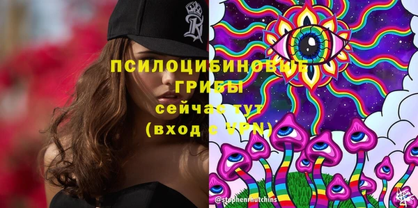 хмурый Карталы