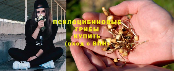 а пвп мука Касимов